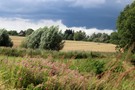 Der nächste Regenschauer ist in Sicht