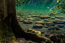 Steine im grünblau scheinenden Wasser vom Obersee