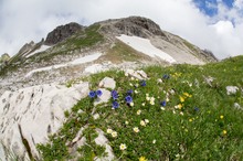 In den Allgäuer Alpen