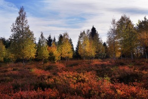 Ein Herbstabend  ...,