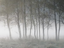 Die erste Nacht mit Bodenfrost