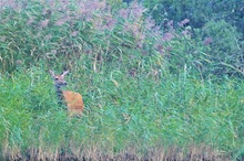 Die Lage sondieren