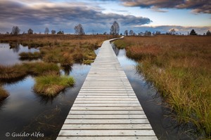 Magisches Hohes Venn