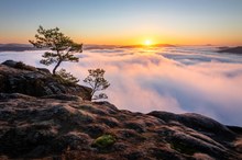 Über den Wolken - Sonnenaufgang auf dem Lilienstein