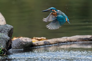 Schlag in's Wasser!