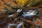 goldener Herbst