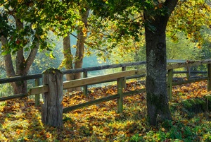 Herbstlandschaft mit historischer Pfahljochbrücke