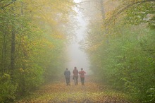 Herbstspaziergang...