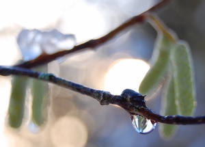 Schnee von gestern