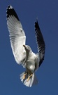 Beim Landeanflug