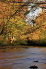 Herbst in Leverkusen