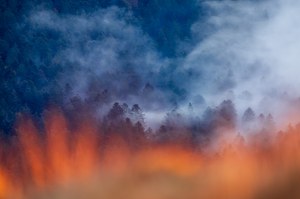 Flammen über dem Wald