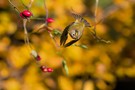 Den letzten schönen Herbsttag gestern genutzt