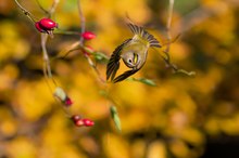 Den letzten schönen Herbsttag gestern genutzt