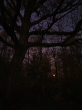 Moonrise After Sunset