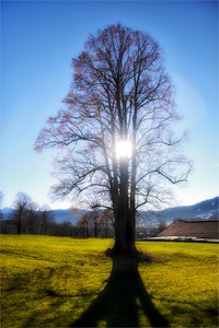 Gestern, auf dem Weg zur Denk-Alm ...