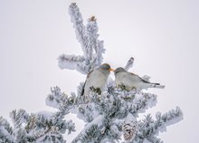 Inmitten .........