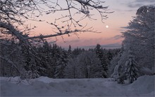 Abend im Thüringer Wald