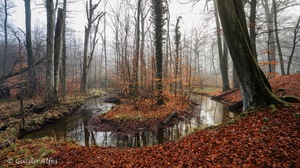 Schleifen Panorama