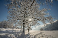 Spuren im Schnee