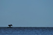 Auf offener See