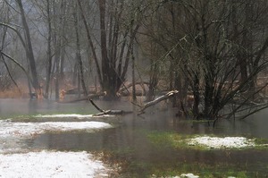 Schneereste am Biberbach