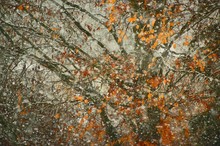 Herbst/Winter