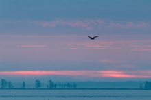 morgens am Bodden