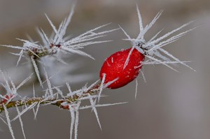 "Spitze" kann ich da nur sagen!!