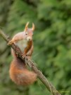 Besuch am Anflugstöckchen