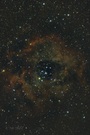 NGC 2237 Rosettennebel