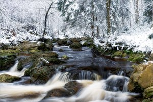 Winter an der Hoëgne