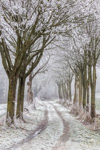 winterlicher Feldweg