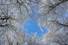 Blick in den Winterhimmel