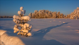 Mittags in Lappland
