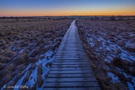 Bonjour, Hautes Fagnes