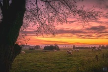 Herbstabend auf dem Land