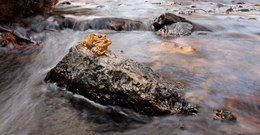 Perspektivwechsel....