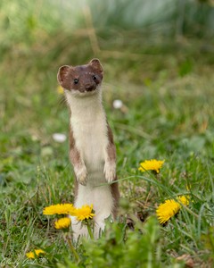 Dieser Blick