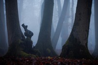 Der hat sich getarnt