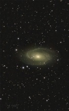 Spiral Galaxy M81