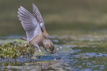 Im Seeadler-Modus