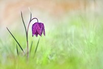 Eine habe ich auch noch ...,