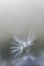 Bereit zum Abflug