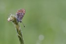 mal etwas kleinerer ABM