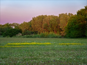 Farben des Frühlings