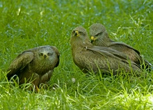 Welch ein Blick