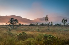 Morgenlicht