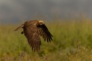 Abflug
