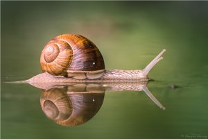 -- Gemütlich --